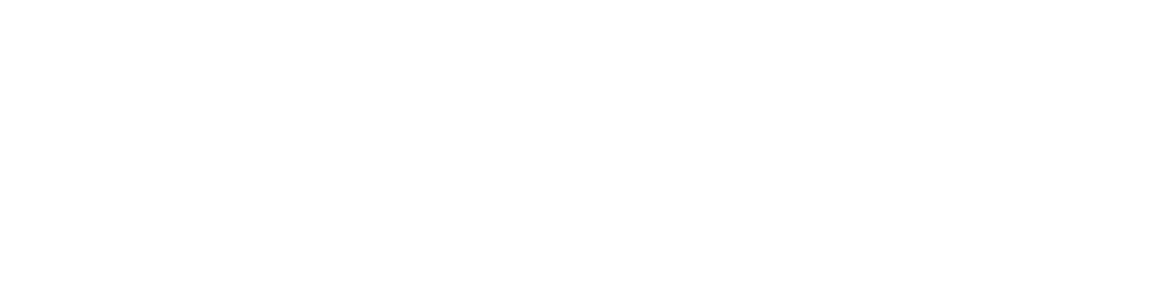 Vega Space Logo